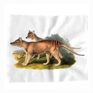 https://www.klevarange.shop/wp-content/uploads/1708/69/sell-and-buy-lens-cloth-john-gould-tasmanian-tiger-online-sale_1-300x300.jpg